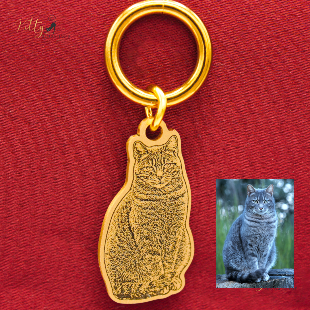 KittySensations™ Custom Cat Charm Bracelet with Personal Engraving in Solid 925 Sterling Silver or Gold Plated Titanium - Your Choice! ($59.95)